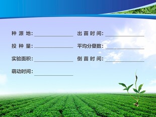 半夏种植记录
