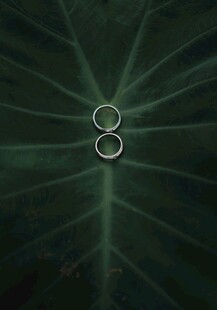 荷叶上的水珠双环景象