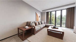 现代简约风格客厅室内景