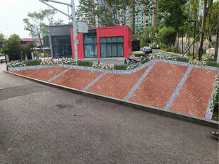 花鸟市场效果图