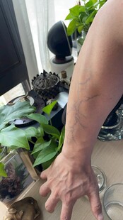 手抚绿植展现自然生机