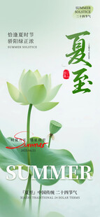 夏至夏天荷花荷塘节气海报