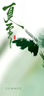 夏至