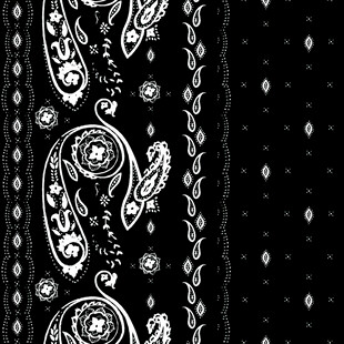 黑白佩斯利花纹装饰图案