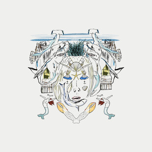 奇幻风格神秘人脸插画