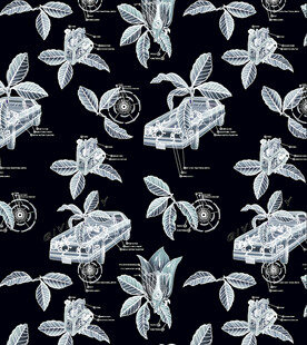 黑白花卉图案纹理设计