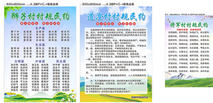 狮子村村规民约