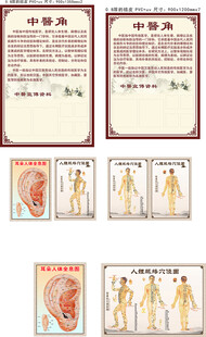 中医角