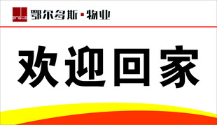 欢迎回家宣传画面
