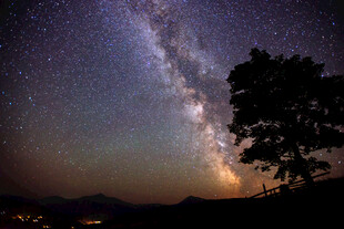 夜空下的璀璨星河与孤树