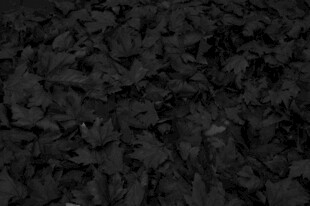 黑色碎石纹理背景图