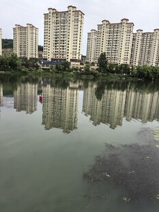 湖畔高楼倒影景观