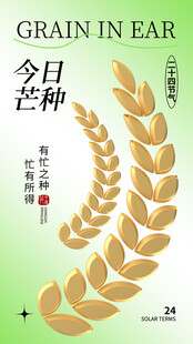 芒种海报