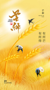 芒种海报