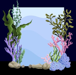 海底珊瑚植物景观插画
