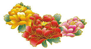  国色天香 牡丹花开 包装设计