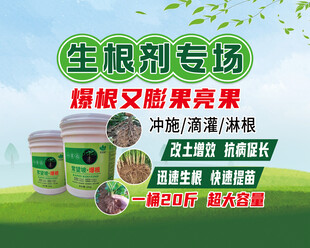 生根剂