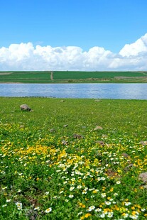 湖畔花海美景