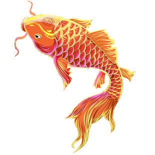 灵动锦鲤插画