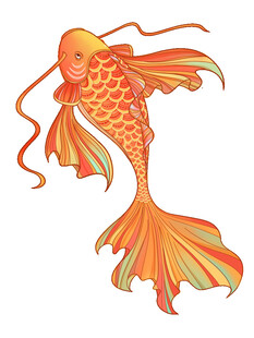 灵动金鱼插画