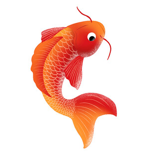 灵动红锦鲤