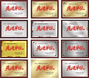 先进单位奖牌
