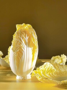 新鲜白菜特写