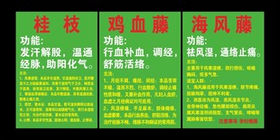中药简介
