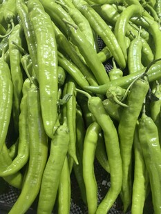 新鲜青辣椒堆叠