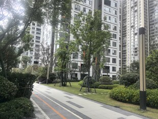小区林荫步道景观