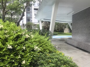 庭院绿植景观一角