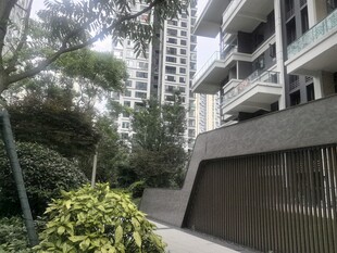 现代住宅旁的绿植景观