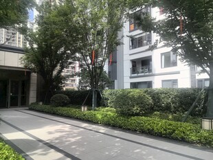 小区内整洁的绿化景观