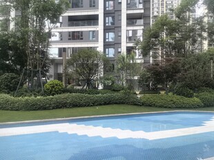 小区内的泳池与绿植景观