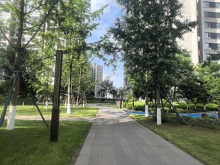 小区内的林荫步道景观