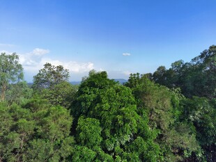 旗峰山 灯笼顶 风景