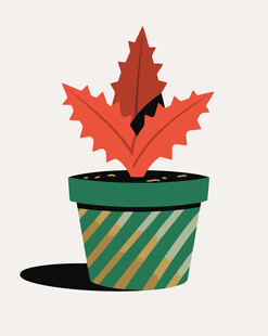 条纹花盆中的红枫叶