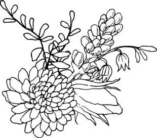 手绘花卉线条图