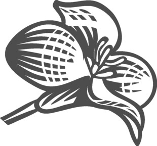 简约线条风兰花图案