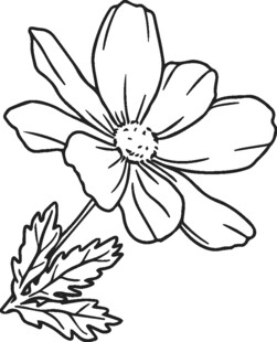 手绘线条花朵图案