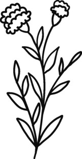手绘简约花卉植物线条图