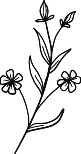 手绘简约花卉植物线条图