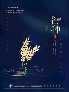 芒种时节麦穗图