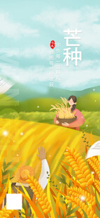 芒种海报