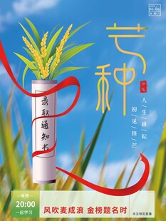 芒种海报