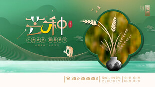 芒种海报