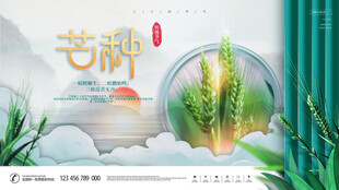 芒种海报
