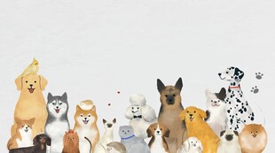 宠物狗