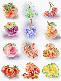 水果水彩插画