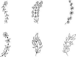 手绘植物花卉线条装饰图案